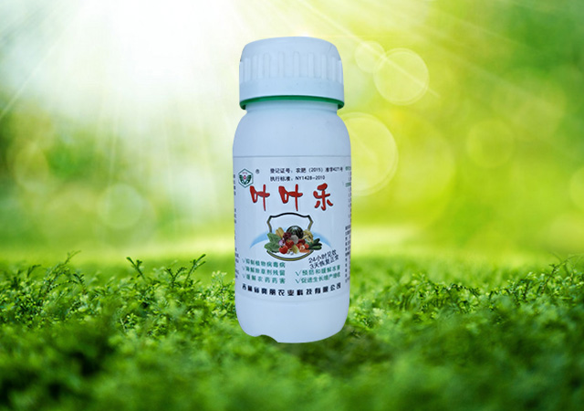 葉葉樂(yuè)瓶裝